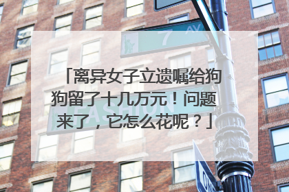 离异女子立遗嘱给狗狗留了十几万元！问题来了，它怎么花呢？