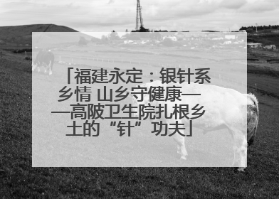 福建永定：银针系乡情 山乡守健康——高陂卫生院扎根乡土的“针”功夫