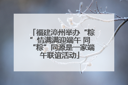 福建漳州举办“粽”情满满迎端午 同“粽”同源是一家端午联谊活动