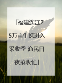福建连江2.5万亩生蚝进入采收季 渔民日夜抢收忙