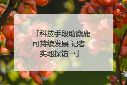 科技手段助麋鹿可持续发展 记者实地探访→