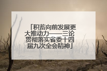 积蓄向前发展更大推动力——三论贯彻落实省委十四届九次全会精神