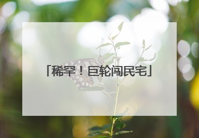 稀罕！巨轮闯民宅