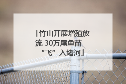 竹山开展增殖放流 30万尾鱼苗“飞”入堵河