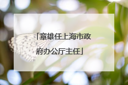 章雄任上海市政府办公厅主任
