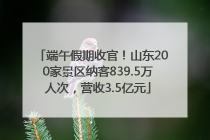 端午假期收官！山东200家景区纳客839.5万人次，营收3.5亿元