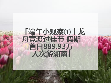 端午小观察①丨龙舟竞渡过佳节 假期首日889.93万人次游湖南