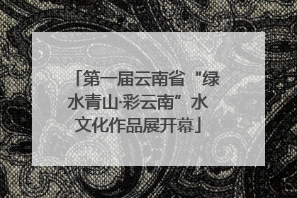 第一届云南省“绿水青山·彩云南”水文化作品展开幕