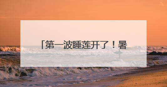 第一波睡莲开了！暑气渐浓，沪上公园打翻大自然“调色盘”