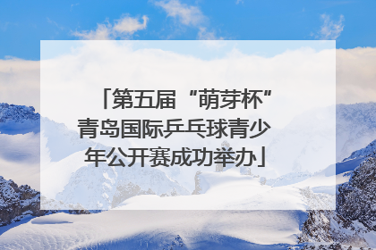 第五届“萌芽杯”青岛国际乒乓球青少年公开赛成功举办