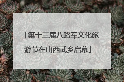 第十三届八路军文化旅游节在山西武乡启幕