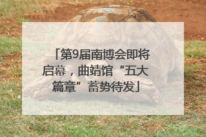 第9届南博会即将启幕，曲靖馆“五大篇章”蓄势待发