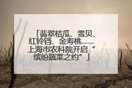翡翠桔瓜、雪贝、红铃铛、金寿桃……上海市农科院开启“缤纷蔬菜之约”