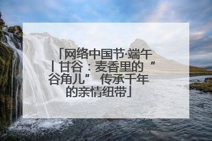 网络中国节·端午丨甘谷：麦香里的“谷角儿” 传承千年的亲情纽带