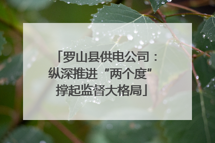 罗山县供电公司：纵深推进“两个度” 撑起监督大格局