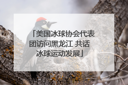 美国冰球协会代表团访问黑龙江 共话冰球运动发展