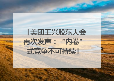 美团王兴股东大会再次发声：“内卷”式竞争不可持续