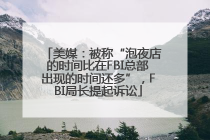 美媒：被称“泡夜店的时间比在FBI总部出现的时间还多”，FBI局长提起诉讼