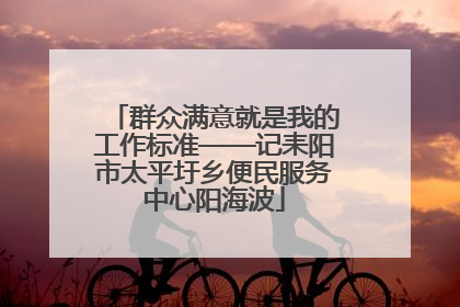 群众满意就是我的工作标准——记耒阳市太平圩乡便民服务中心阳海波