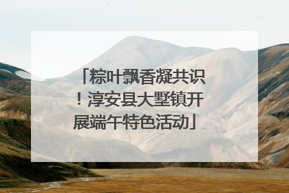 粽叶飘香凝共识！淳安县大墅镇开展端午特色活动