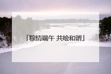 粽情端午 共绘和谐