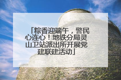 粽香迎端午，警民心连心！地铁分局灵山卫站派出所开展党建联建活动