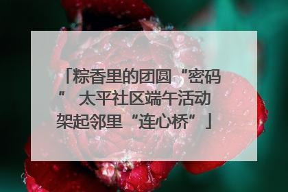 粽香里的团圆“密码” 太平社区端午活动架起邻里“连心桥”