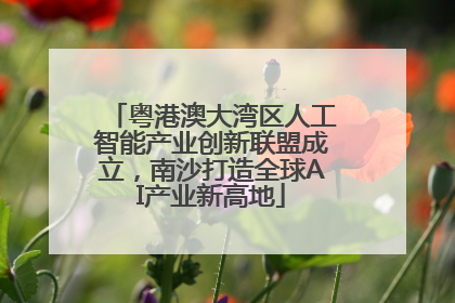 粤港澳大湾区人工智能产业创新联盟成立，南沙打造全球AI产业新高地