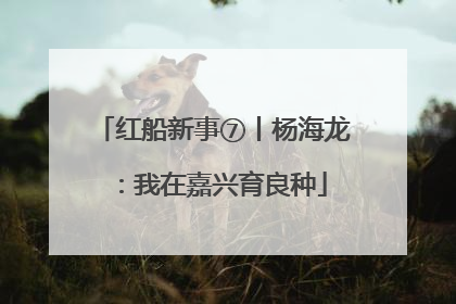 红船新事⑦丨杨海龙：我在嘉兴育良种