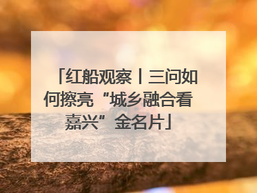 红船观察丨三问如何擦亮“城乡融合看嘉兴”金名片