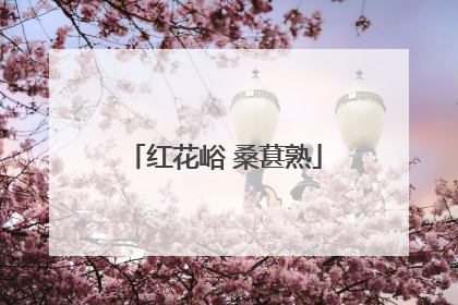 红花峪 桑葚熟