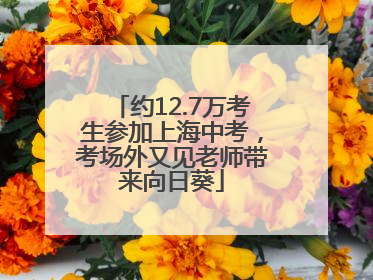 约12.7万考生参加上海中考，考场外又见老师带来向日葵