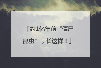 约1亿年前“僵尸昆虫”，长这样！