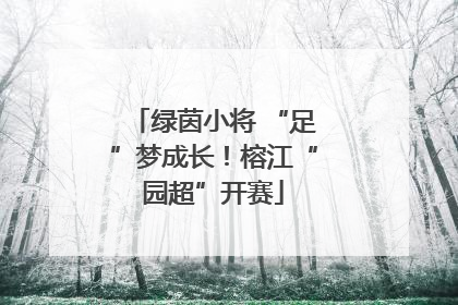 绿茵小将 “足”梦成长！榕江“园超”开赛