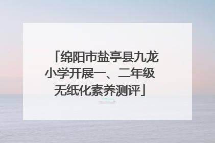 绵阳市盐亭县九龙小学开展一、二年级无纸化素养测评