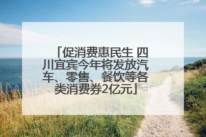 促消费惠民生 四川宜宾今年将发放汽车、零售、餐饮等各类消费券2亿元