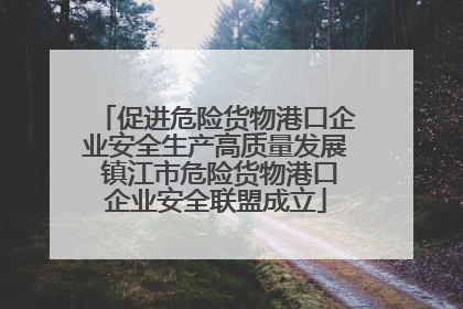 促进危险货物港口企业安全生产高质量发展 镇江市危险货物港口企业安全联盟成立