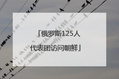 俄罗斯125人代表团访问朝鲜