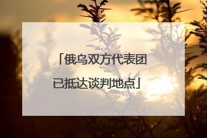 俄乌双方代表团已抵达谈判地点
