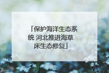 保护海洋生态系统 河北推进海草床生态修复