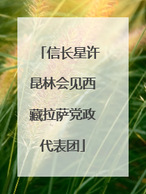 信长星许昆林会见西藏拉萨党政代表团