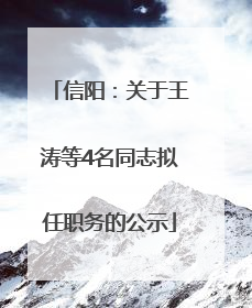 信阳：关于王涛等4名同志拟任职务的公示