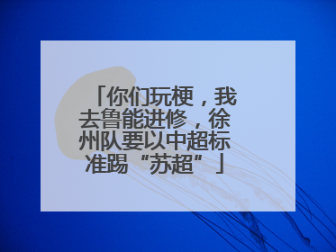 你们玩梗，我去鲁能进修，徐州队要以中超标准踢“苏超”