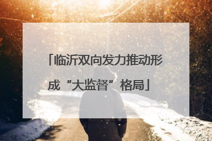 临沂双向发力推动形成“大监督”格局