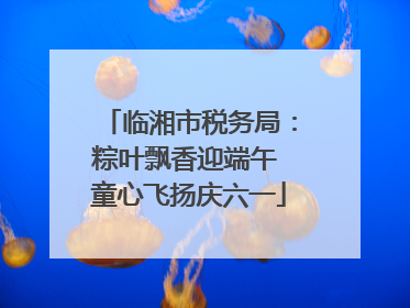 临湘市税务局：粽叶飘香迎端午 童心飞扬庆六一
