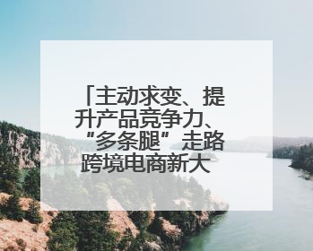 主动求变、提升产品竞争力、“多条腿”走路 跨境电商新大门在打开