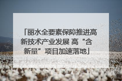 丽水全要素保障推进高新技术产业发展 高“含新量”项目加速落地