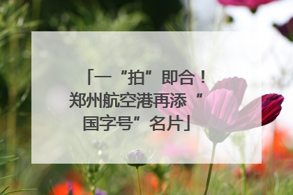 一“拍”即合！郑州航空港再添“国字号”名片