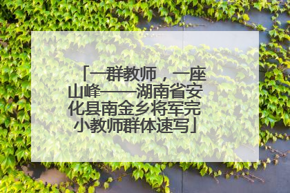 一群教师，一座山峰——湖南省安化县南金乡将军完小教师群体速写