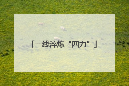 一线淬炼“四力”